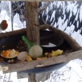 photo 2019-01-22 08-27-53