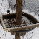 photo 2019-01-08 13-30-58