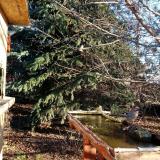 photo 2021-12-13 09-11-39