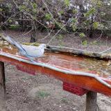 photo 2021-04-06 17-57-06