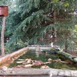 photo 2023-10-02 09-02-59