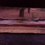 photo 2021-12-09 07-11-41