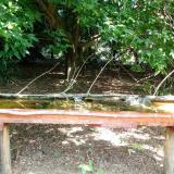 photo 2021-08-08 11-02-08