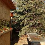 photo 2022-01-12 13-17-51