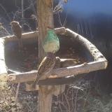 photo 2019-02-12 09-13-19