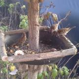 photo 2019-12-08 13-20-47