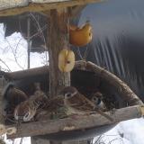 photo 2019-01-29 12-55-42