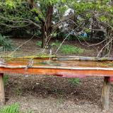 photo 2021-04-19 12-42-01