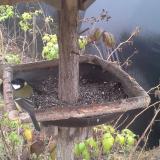 photo 2019-12-12 12-35-40