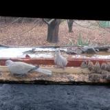 photo 2021-12-05 13-10-27