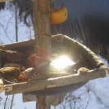 photo 2019-01-27 10-10-45