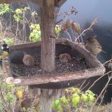 photo 2019-12-12 12-37-43