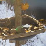 photo 2019-01-27 09-13-20