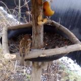 photo 2019-02-05 10-16-04