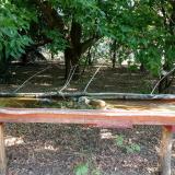 photo 2021-07-08 08-09-00