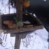 photo 2019-01-24 07-26-08