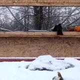 photo 2022-01-22 07-58-20