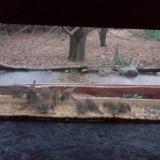 photo 2021-12-09 07-39-33