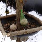 photo 2019-01-12 10-25-47