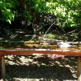 photo 2021-05-10 10-31-42