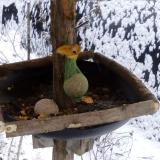 photo 2019-01-20 09-16-06