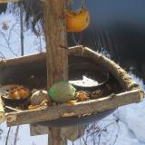 photo 2019-01-27 09-42-27