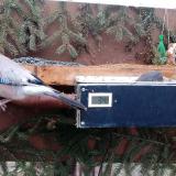 photo 2021-02-21 07-18-48