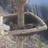 photo 2019-03-04 10-47-22