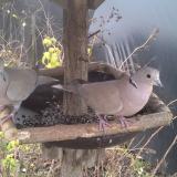 photo 2019-12-22 12-52-02