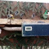 photo 2021-02-08 14-12-01