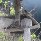 photo 2019-12-16 08-07-18