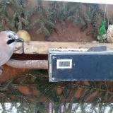 photo 2021-02-13 08-03-26