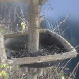 photo 2019-12-26 12-33-33