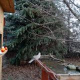 photo 2021-12-15 08-56-45