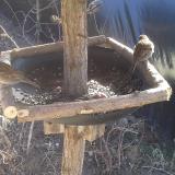 photo 2019-02-23 11-48-43