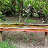 photo 2021-04-29 09-40-00