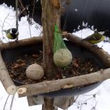 photo 2019-01-12 10-21-20