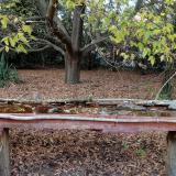 photo 2021-10-19 16-36-48