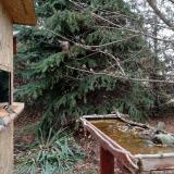 photo 2021-11-19 10-27-28