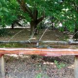 photo 2021-07-04 16-14-28