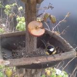 photo 2019-12-05 13-28-13