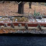 photo 2021-11-08 13-24-05