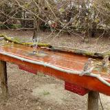 photo 2021-03-31 12-02-46