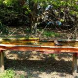 photo 2021-04-22 12-23-18