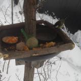 photo 2019-01-23 09-13-28