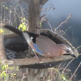 photo 2019-12-23 08-57-39