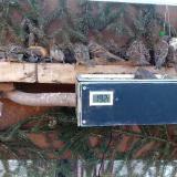 photo 2021-02-15 07-55-51