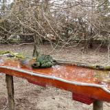 photo 2021-03-23 08-10-17