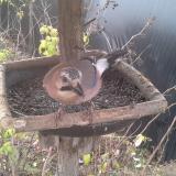 photo 2019-12-19 09-19-47