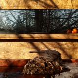 photo 2022-01-24 09-35-29